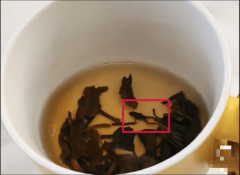 消费者协会发布食物平安大查抄指出