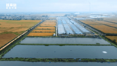 种模式逐步出诸多问题