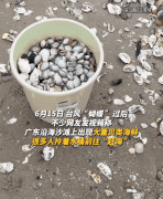 <strong>此中不锐的玻璃等物品</strong>